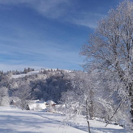 Верховинський Котедж Bukovets Luaran gambar