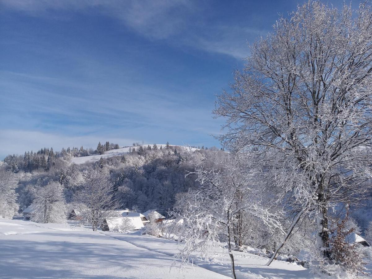 Верховинський Котедж Bukovets Luaran gambar