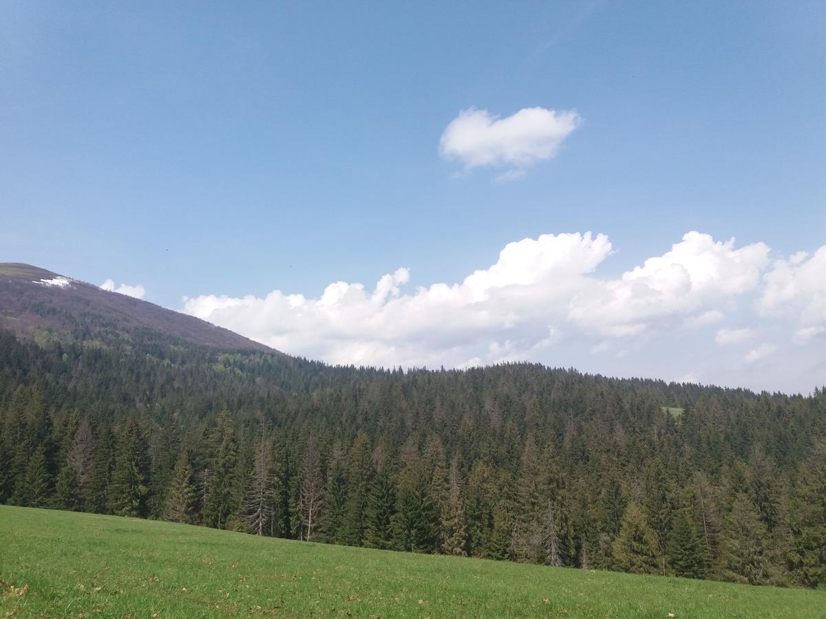 Верховинський Котедж Bukovets Luaran gambar