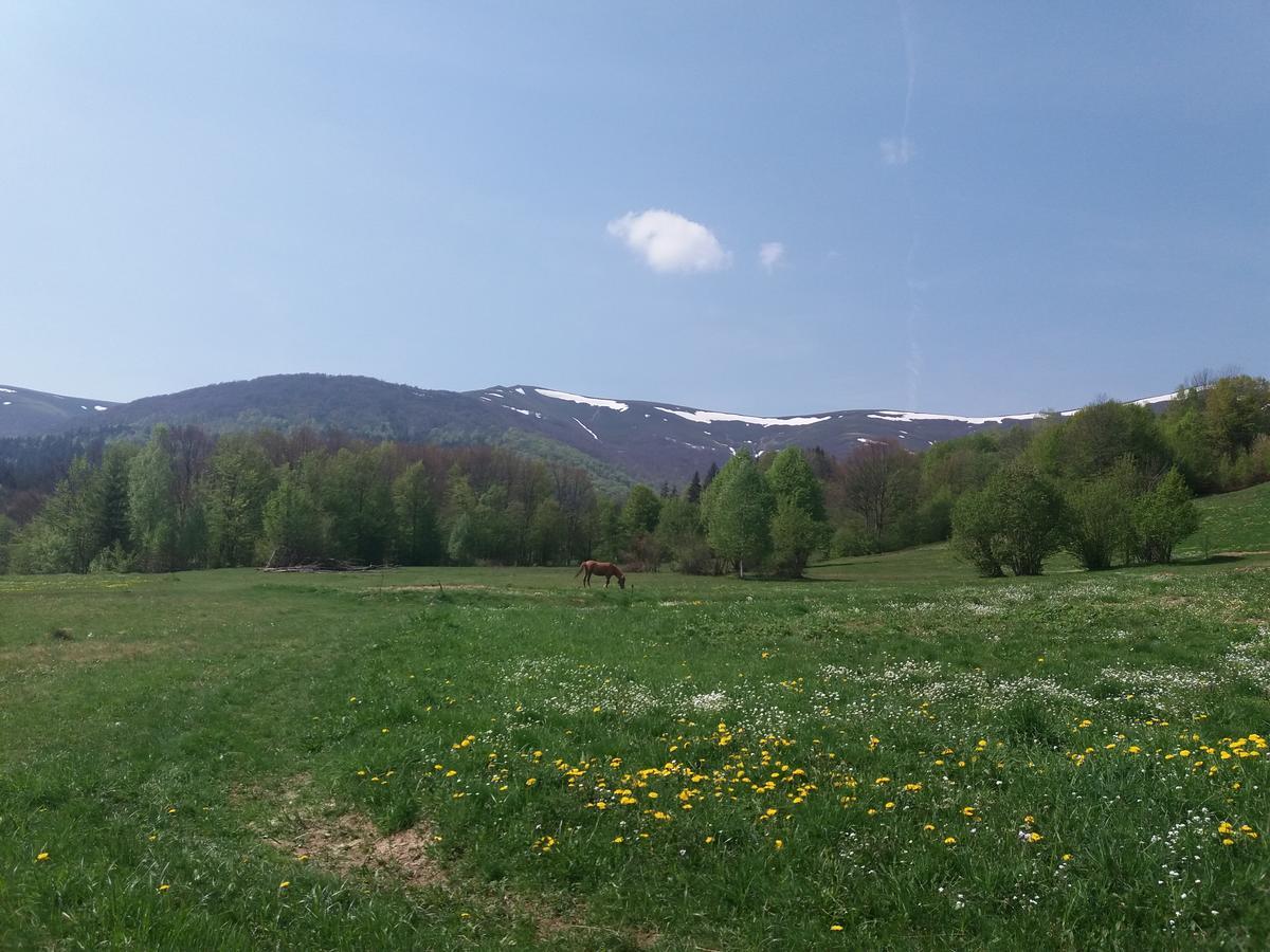 Верховинський Котедж Bukovets Luaran gambar